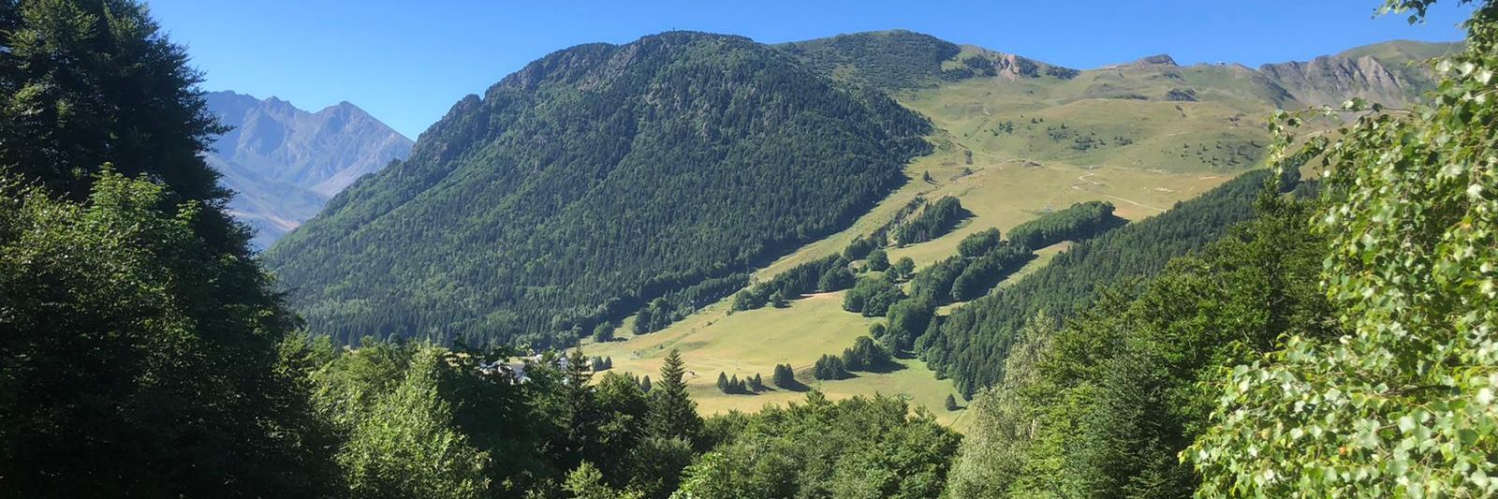 Alpe du Grand Serre en été