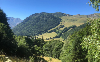 Alpe du Grand Serre en été