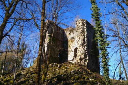 Soutenons la Tour dOtton du château de Montrond